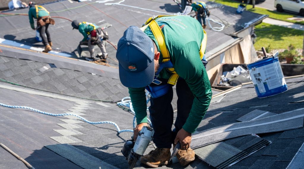Shingle Roof Replacement