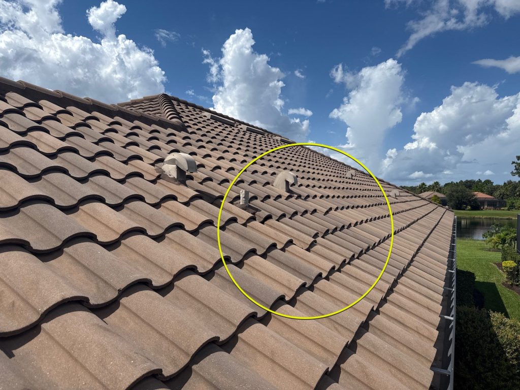Routine Roofing checkup